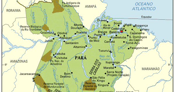 Brazilian Regional Cuisine: Moving on to the state of Pará