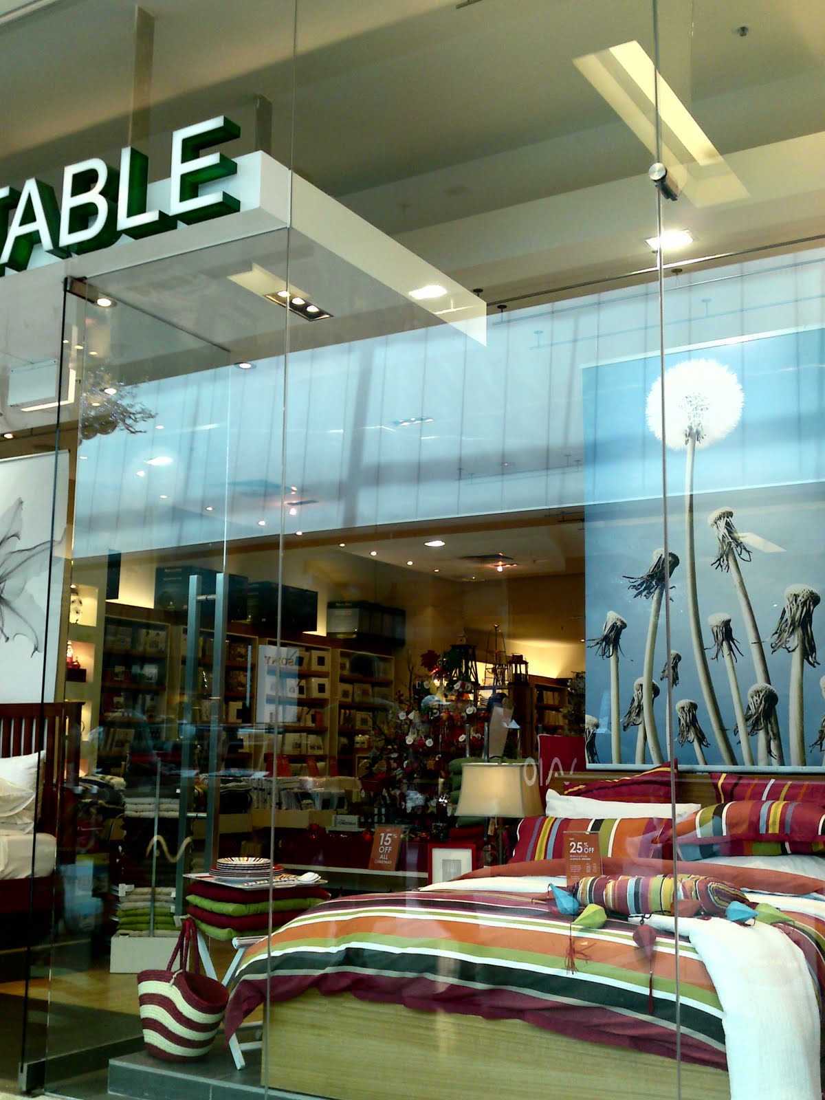 The SHOPPOLOGIST Dandelion Dreaming