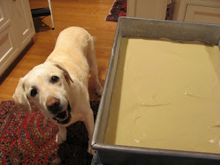 Lambeau eyeing the Tres Leches Cake