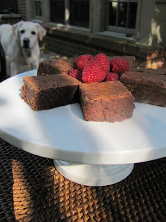 Fat Witch Brownies on a white cake stand!