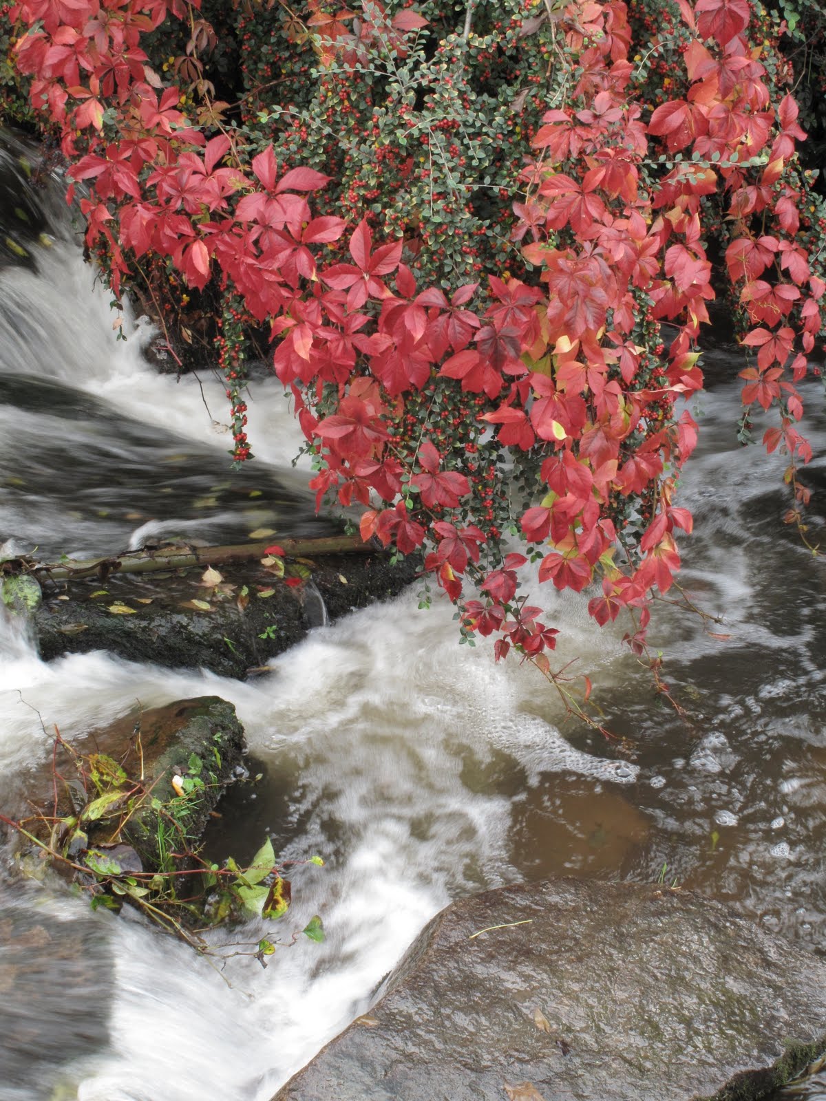 [Jill's+House+003.jpg]