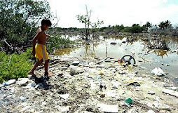 La contaminacion del agua en nuestros rios