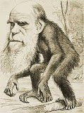 El Fraude de la teoría de la Evolución