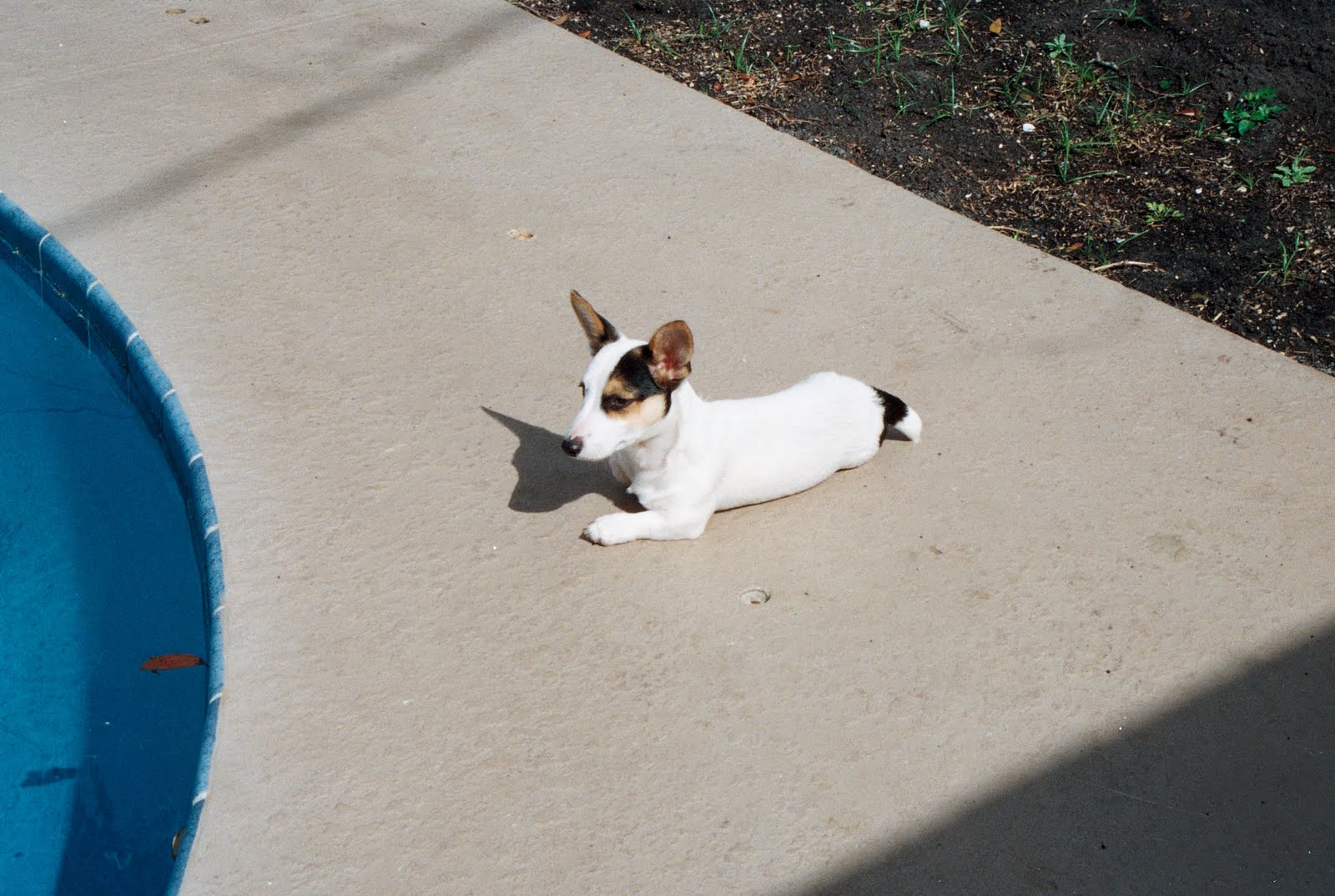[Truffles+-+Poolside1.jpg]