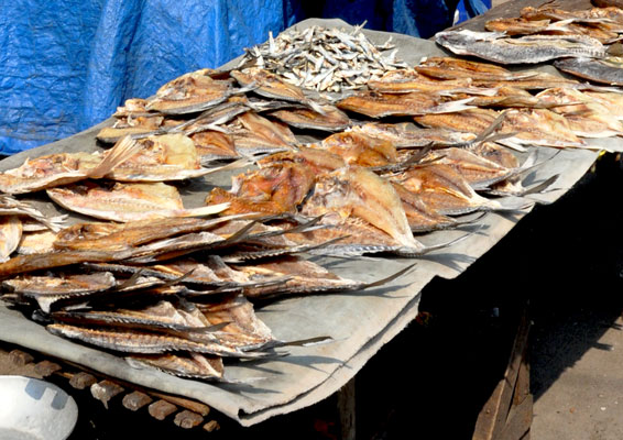 our life in Singapore: my visit to the pasar ikan in Jakarta