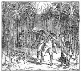 Rebecca Brown Unbroken Curses Pdf