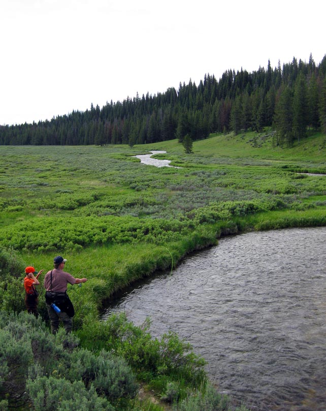 High Altitude Fly Fishing Yellowstone and Blacksmith Fork Canyon