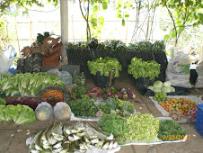 Hasil panen kebun yang akan dibawa ke Jakarta setiap senin dan kamis.