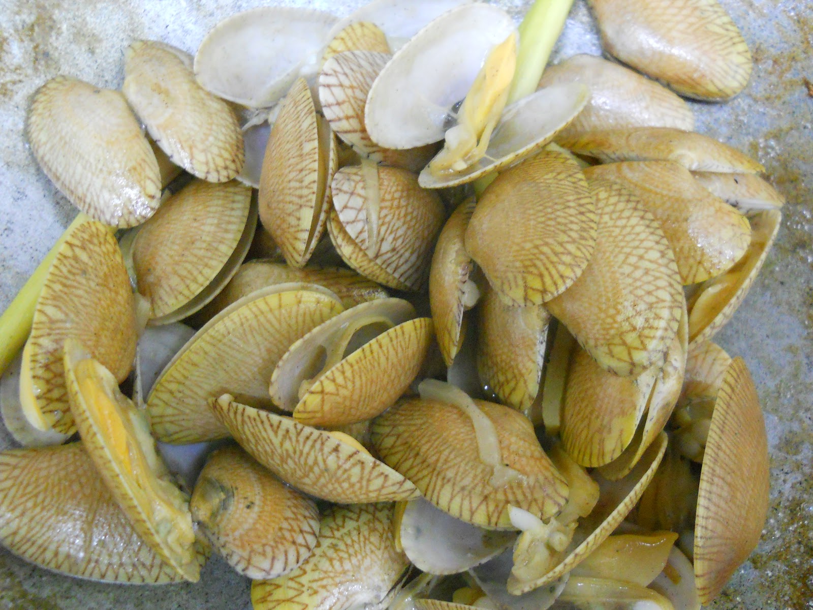 Travelog Hati: Siput Retak seribu n Sup Sayur Bayam Tauhu