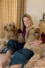 Golden Doodles with A Woman of Gold