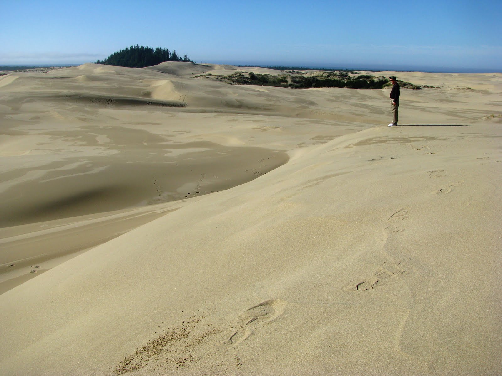 For My Family Oregon