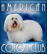 American Coton Club