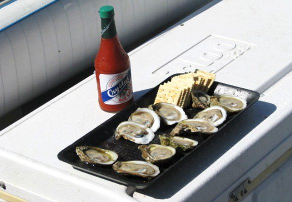 Explore Southern History: Apalachicola Bay Oysters - Rich History of