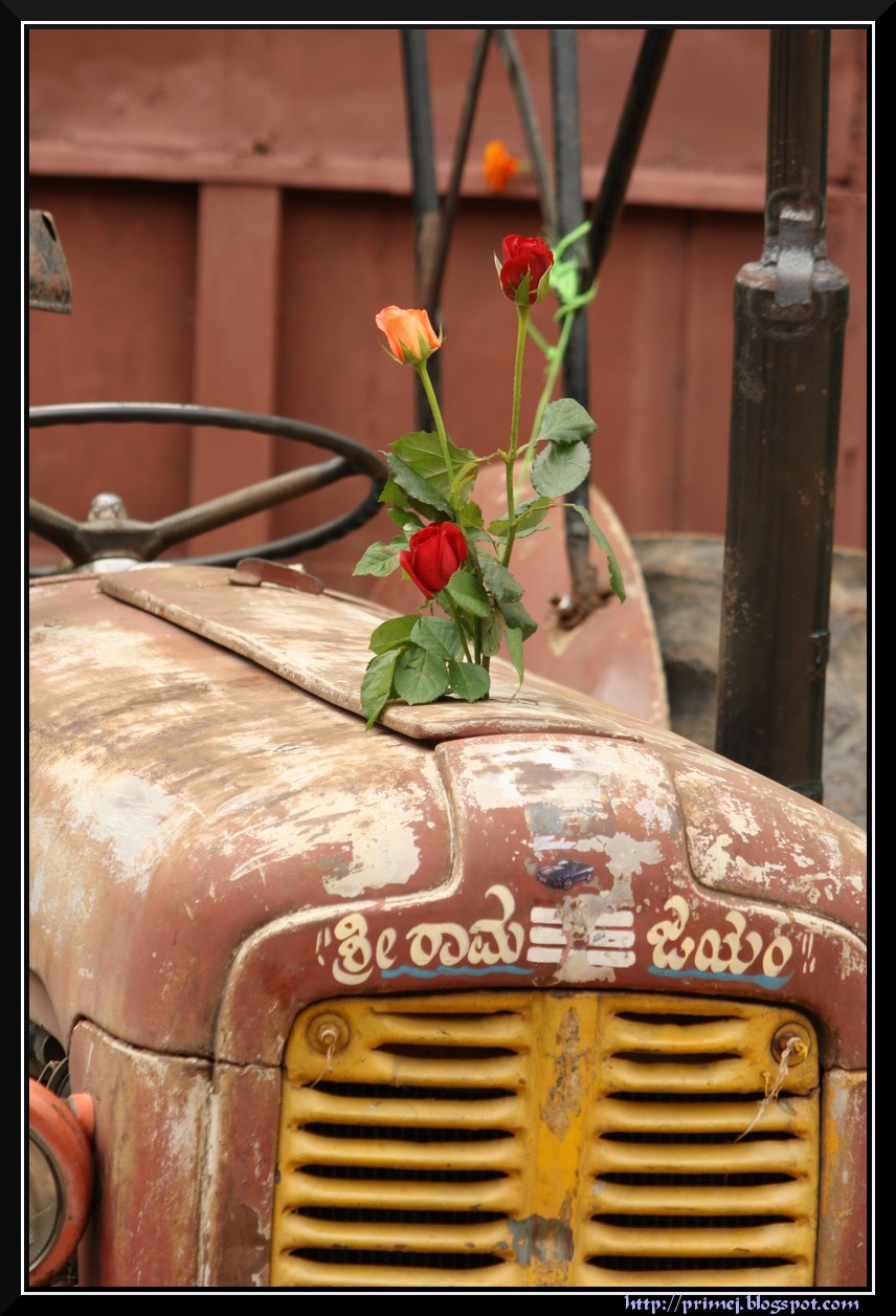 Prime Photos A rather big flower vase
