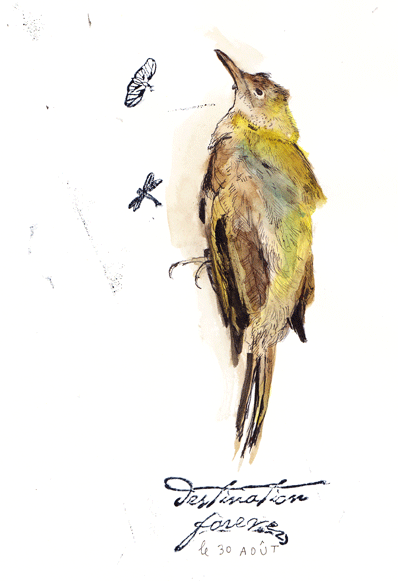 [destionationforever.gif]