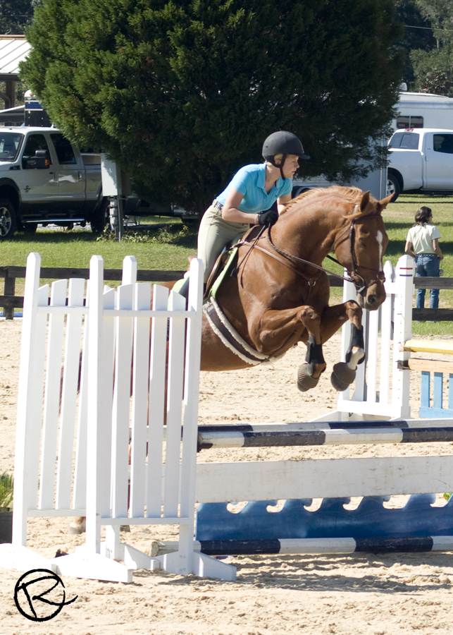 Sarah Reed Photography Horse Shows in the Park Gainesville Equine