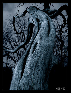 [The_Dark_Tree_by_x_horizon.jpg]