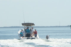 Dolphin Plays in the Boat Wake