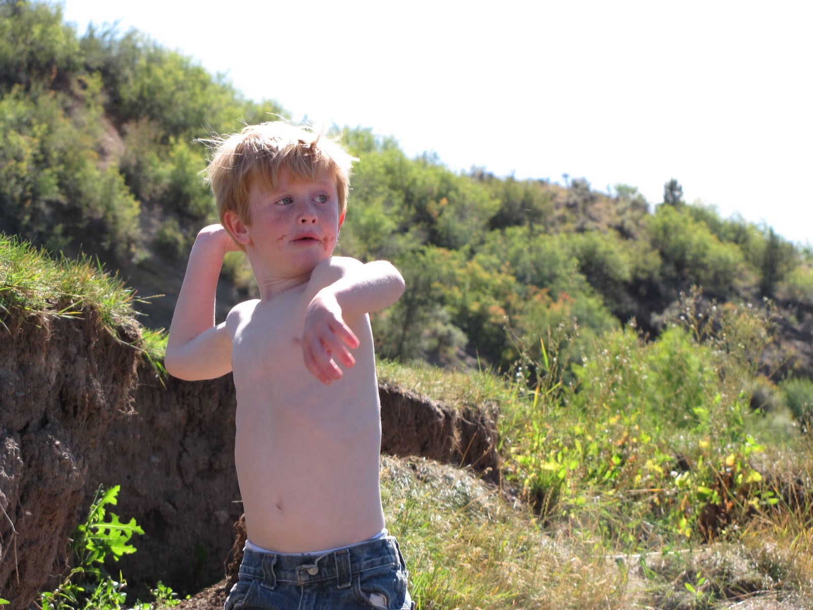 the Adventures of Hamp & Sam free willy!