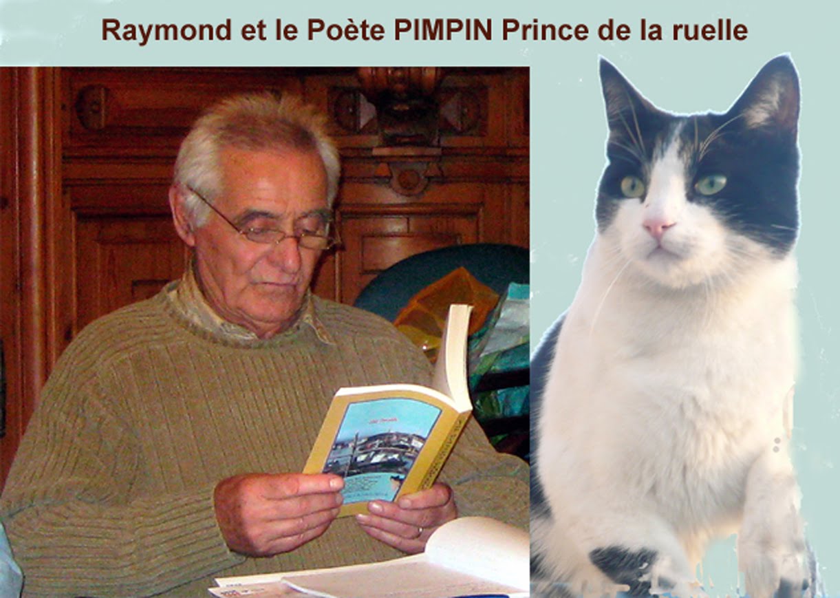 Les amis de PIMPIN le chat  Poète  assassiné
