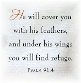 Psalms 91:4