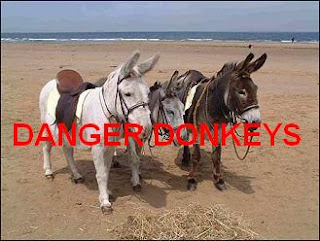 Nanny Bans Donkey Derby