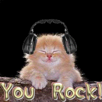 You Rock Kitty