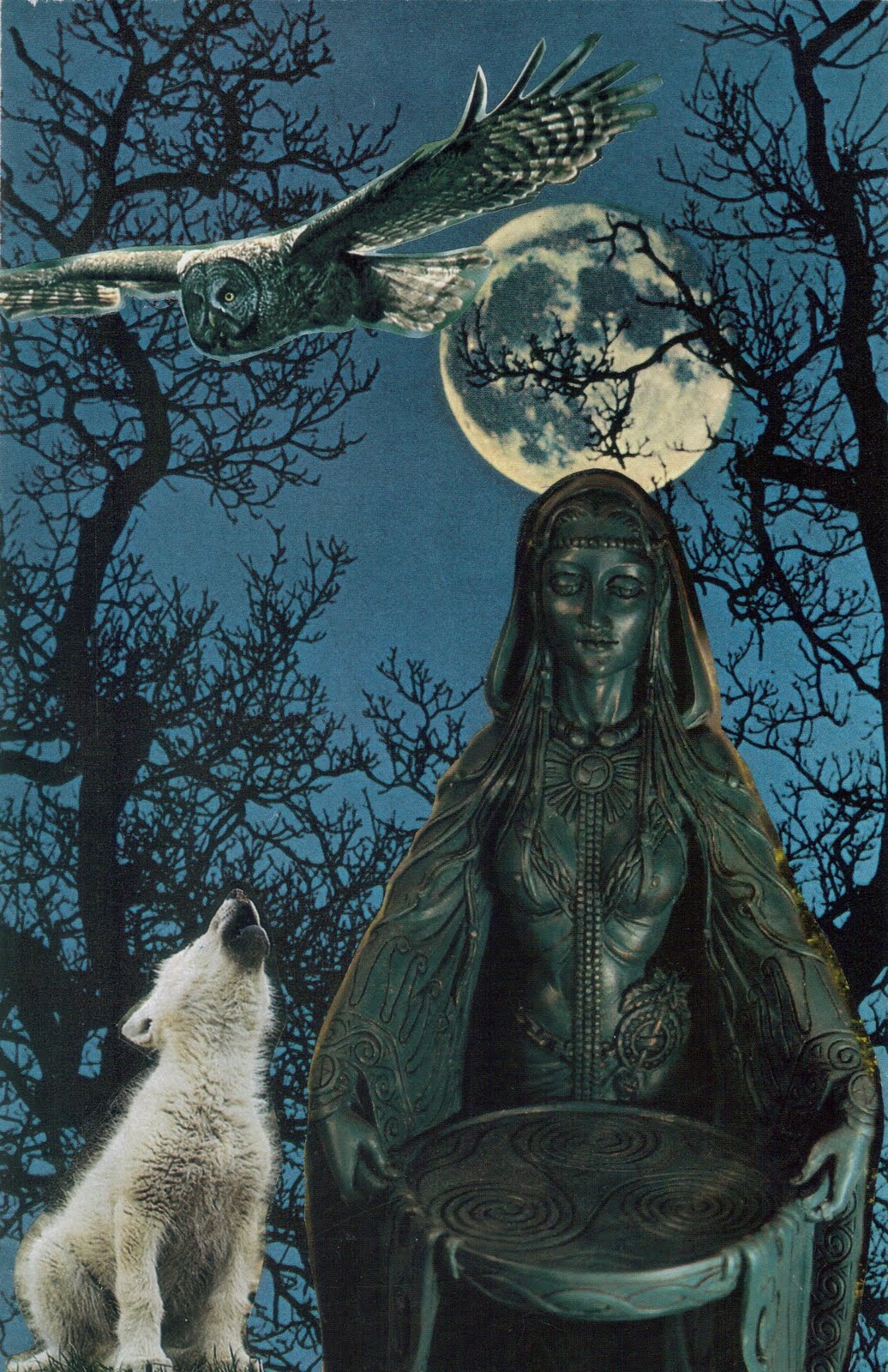 Pausing At The Trumpet Vine Blue Moon Wolf