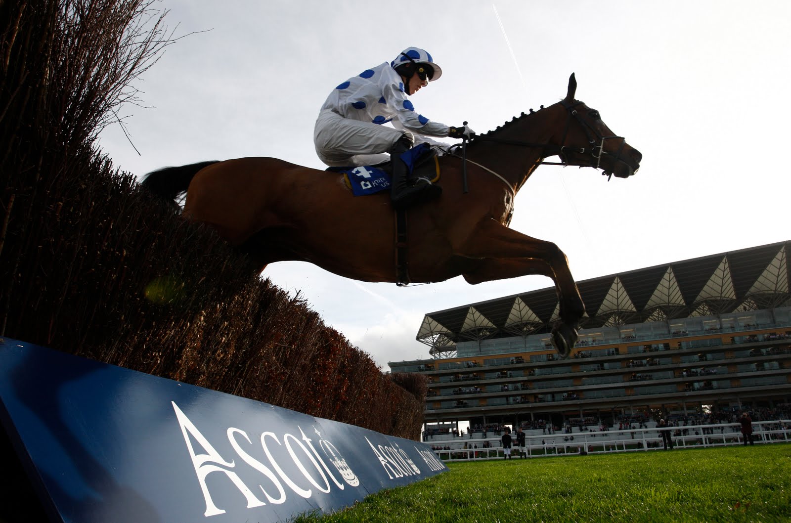 Ascot Racing This Insane Betting Offer Wont Last 10 Gets You 30 Spins - yhs8sft