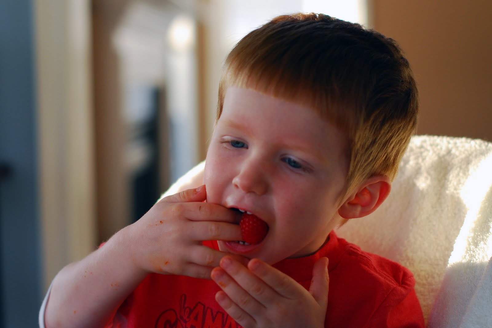 Semenick family How to eat raspberries...