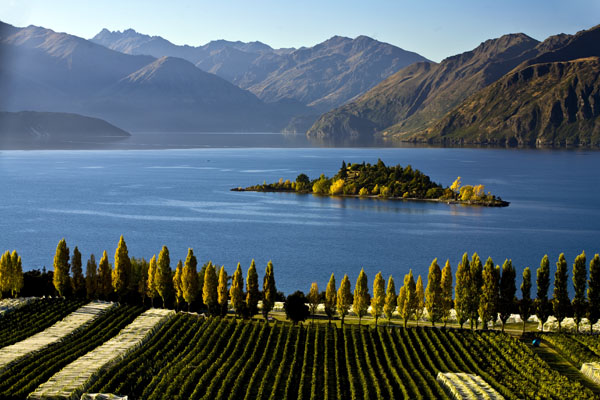 Beattie\'s Book Blog - unofficial homepage of the New Zealand book  community: THE NATURE OF WANAKA