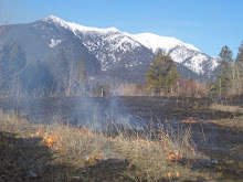 Spring in Montana - Burning off the Old Grass in The Field behind the House....