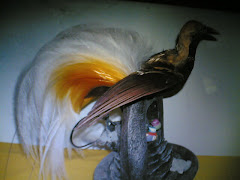 Burung Kayangan,, Candra wasih jantan,, tino buek apo,, ( link to : http://www.antiquecyrus.com.my