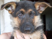 Você Conhece o Eric?