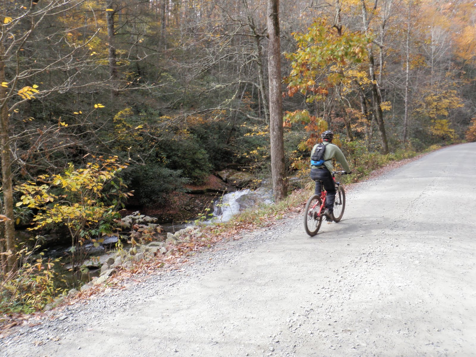 para mountain biking