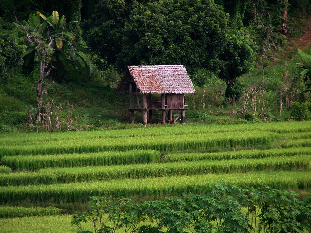 [PICT6748.jpg]