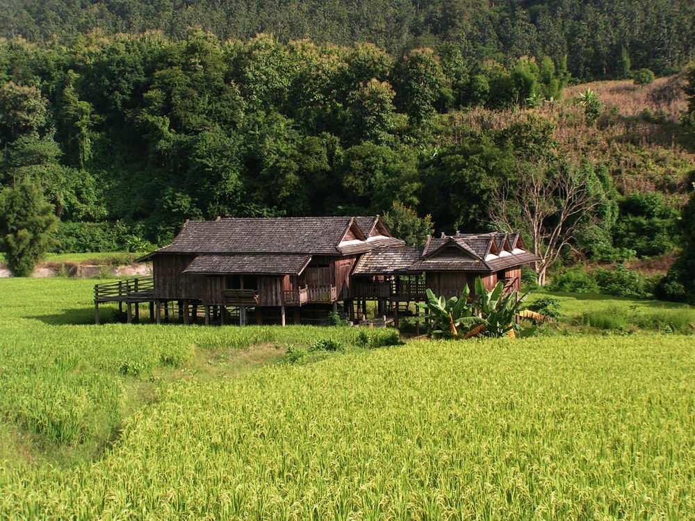 [PICT6779.JPG]