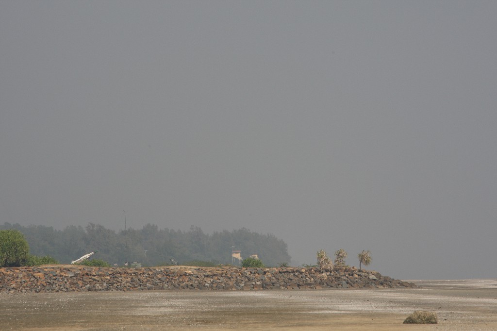 [579U0305-768981.JPG]