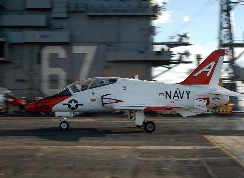 [goshawk+training-700172.jpg]