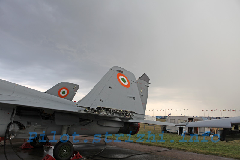 [img_0893_sm-721353.jpg]