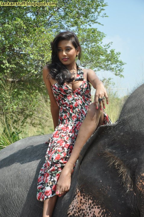 Dilhani Eka Nayaka Sex - Our Lanka: 2011