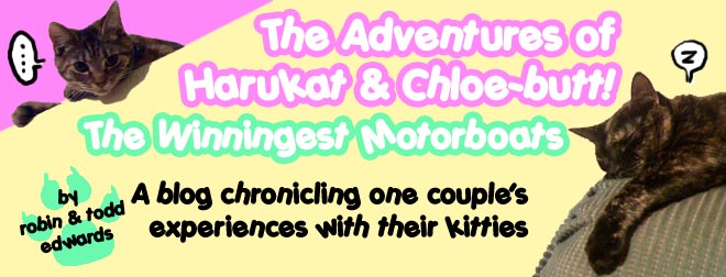 The Adventures of Harukat & Chloe-butt-the Winningest Motorboats
