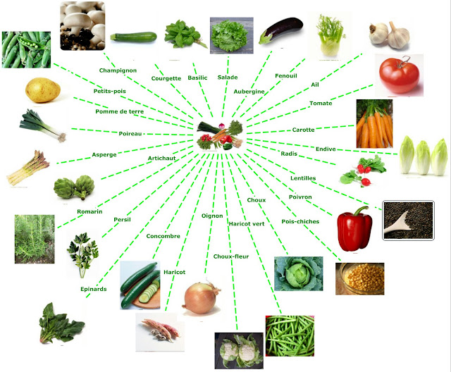 https://3.bp.blogspot.com/_ob6RYknRe2g/TCdU77_uDmI/AAAAAAAABLE/mihm0mCRpCU/s640/LEGUMES.jpg Warzywa - mapa myśli - Francuski przy kawie