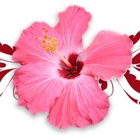 [E64A30BAC7D473F89C146847A8C85D.jpg]