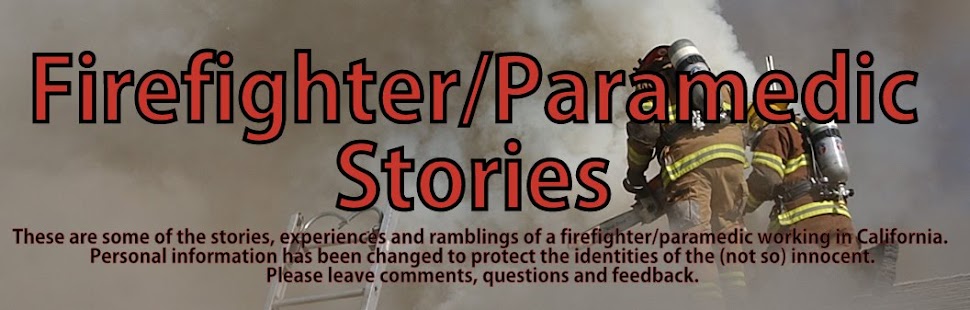 FIREFIGHTER/PARAMEDIC STORIES