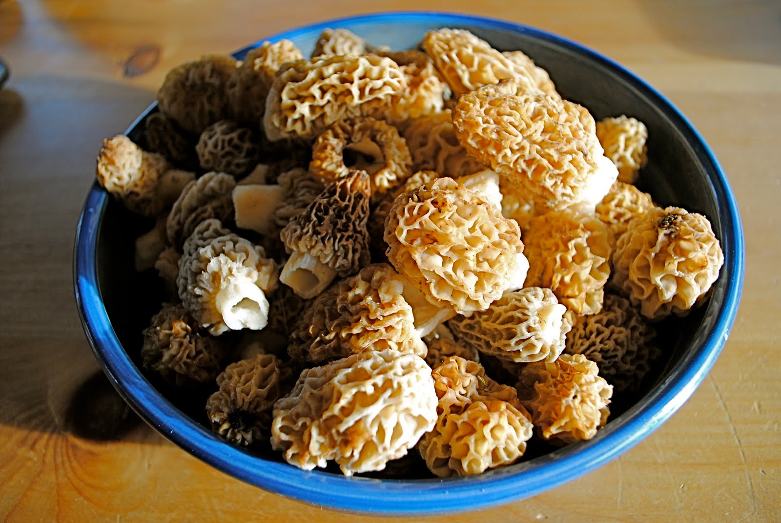 Make Delicious Happen Wild Morel Mushrooms