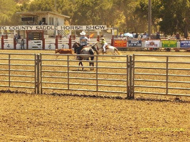 Tie Down Roping Event...