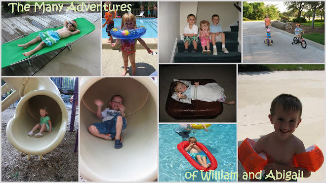 The Many Adventures of William and Abigail
