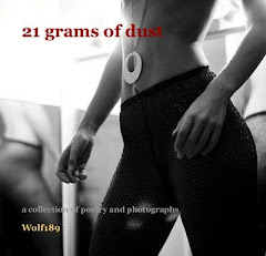 Book: "21 grams of dust"