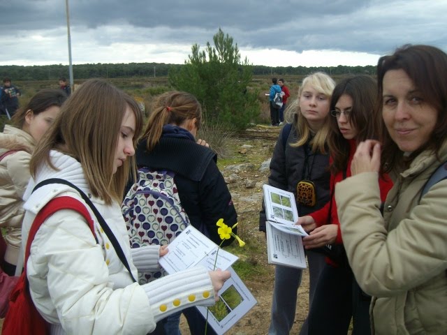 [ALIM3544.JPG]